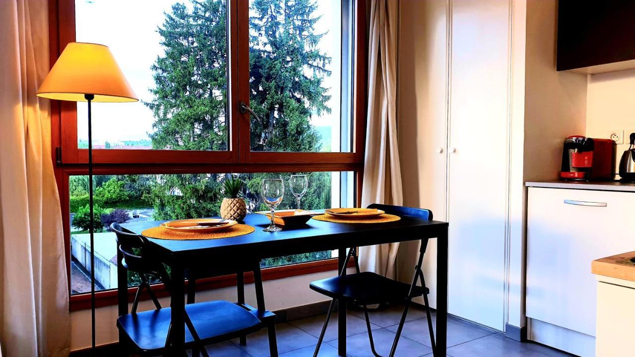 Le Bellevue A 10Min Du Centre A Pied Apartment Анси Екстериор снимка