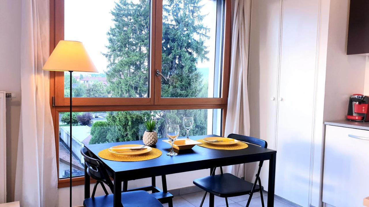 Le Bellevue A 10Min Du Centre A Pied Apartment Анси Екстериор снимка