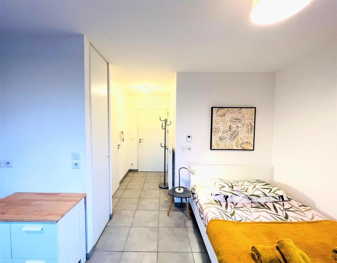 Le Bellevue A 10Min Du Centre A Pied Apartment Анси Екстериор снимка